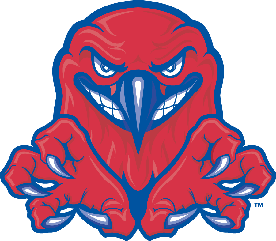 UMass Lowell River Hawks 2006-2012 Secondary Logo diy iron on heat transfer